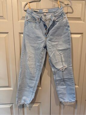 Universal Thread Light Blue Curvy Vintage Straight Jeans